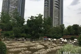 “听取蛙声一片”咋成噪音扰民？多一份包容与适应，人与自然才能和谐图片