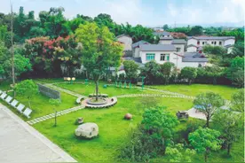 成都龙泉驿区：让乡村呈现“洁、美、靓”的新风貌图片