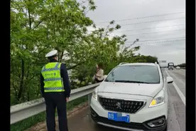 路边的野花，请不要采图片