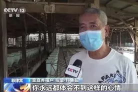 非洲猪瘟疫情在菲律宾蔓延 当地家庭养殖户收入锐减图片