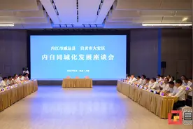 携手推进内自同城发展 大安区与威远县签署合作框架协议图片