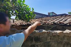 海南8岁男童被男子掐住脖子！爷爷持刀砍了过去……图片