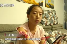 贵阳女孩1899元网购宠物猫，小猫到家3天就病死！卖家：只能吃我家猫粮图片
