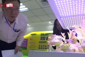 台湾博士在新疆种菜：植物工厂耕耘创业梦想视频封面