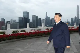 潮涌珠江，听总书记与大湾区的故事图片