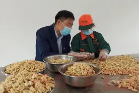 栾川县柳子村：小小核桃香飘致富路图片
