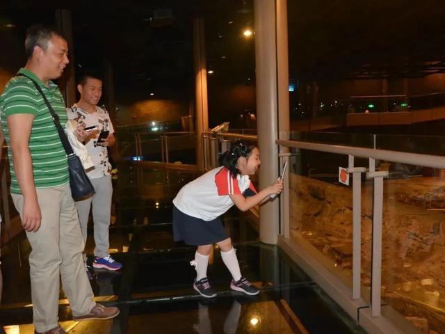 2018年上海纺织机械展地点