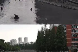 成都锦江有人“淘金”？原来是在淘“虫”图片