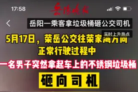 要求提前下公交车遭拒，岳阳一男子竟把不锈钢垃圾桶砸向司机，已投案自首图片
