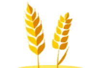 关注 | 中共河南省委印发《法治河南建设规划（2021—2025年）》《河南省法治社会建设实施方案（2021—2025年）》图片