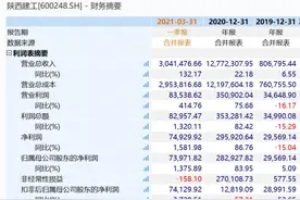 陕西首家营收千亿上市公司花落陕西建工 靓丽业绩为何难以撑起市值？图片