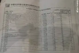 “叶飞爆料门”背后：“200名股东名册“有何秘密？图片
