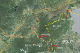 东北虎“完达山1号”放归，专家：越早放成功率越高图片
