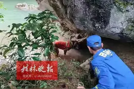桂林灵川失踪女教师搜救进展：救援队已从桂林调派潜水员图片