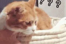 顺丰快递邮寄公文违法，必须使用EMS？为什么？这回说清楚了图片