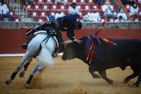 激动人心！西班牙斗牛精彩绝伦图片