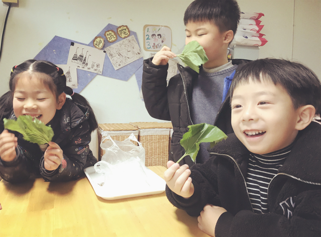 蚕宝宝是如何从蚕卵里孵化出来的？这群幼儿园娃进行了研究