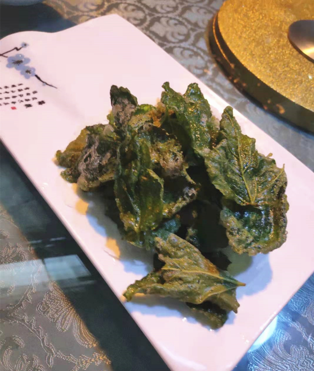 蚕宝宝是如何从蚕卵里孵化出来的？这群幼儿园娃进行了研究
