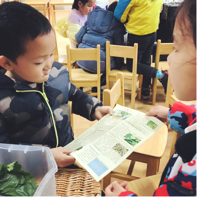 蚕宝宝是如何从蚕卵里孵化出来的？这群幼儿园娃进行了研究