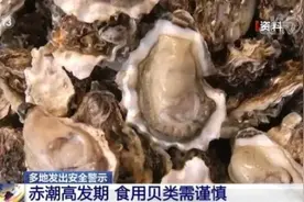 近期沿海多地发出安全警示 赤潮高发期 食用贝类需谨慎图片