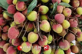 街头荔枝已悄然热卖，但价格有点……桂林人的“荔枝自由”要多久才能实现？图片