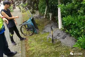 洗车店大白天往绿化带里倒淤泥，被城管抓了现行图片