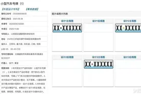国内车牌迎来更新？网上曝出新一代车牌设计专利图图片