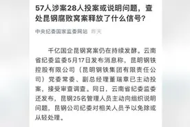 千亿国企昆钢窝案：57人涉案28人投案，调查尚未结束视频封面