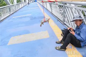 男子在街头用竹竿吊乌龟兜售图片