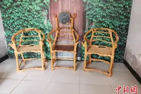 探访河北深州“家具树”种植园“椅子树”会“讲故事”图片