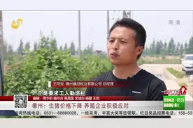 生猪价格下降，养殖成本却反上涨，德州养殖企业多措并举积极应对视频封面