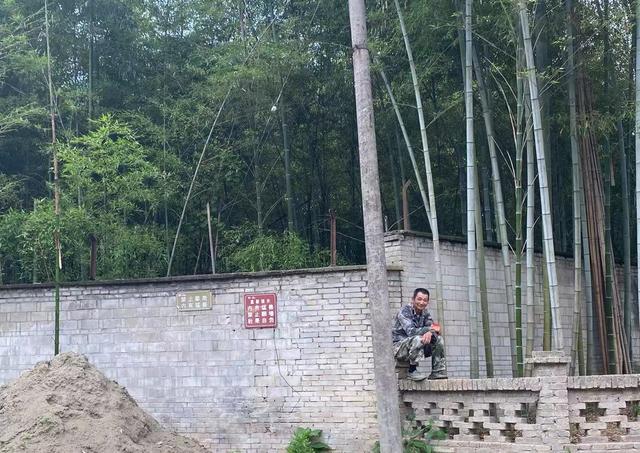 “逃”出动物园一个月：三只金钱豹的冒险之旅