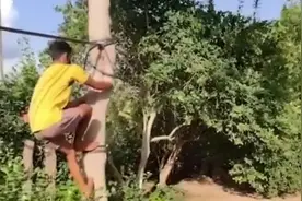 新冠检测呈阳性，印度一男子在树上隔离10天图片