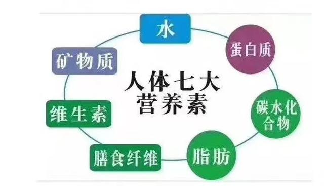 营养素（第一期 蛋白质）
