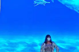 海洋馆还是地铁？郑州这个新晋网红打卡地美翻了图片