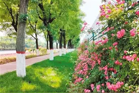 又一大型生态公园预计7月建成开放图片