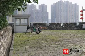 南京明城墙一块地砖上书写“520”，咋回事？图片