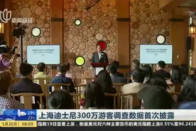 上海迪士尼300万游客调查数据首次披露视频封面