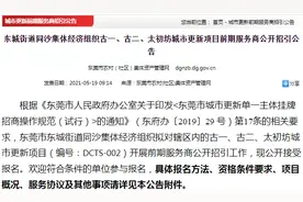 涉及城区、长安、洪梅、厚街…东莞这些地方将大改造！图片