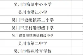 喜讯！吴川7人上榜南粤优秀教师图片