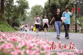 珠海人口密码背后的“大城市”进击之路图片