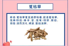 520，以中药之名表白图片