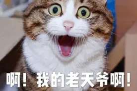 今天是“520”，提醒您表达爱意要理智，分手这些“爱情转账”要不回来图片