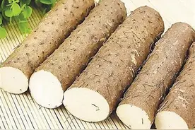 「草本芬芳」气阴双补佳品——山药图片