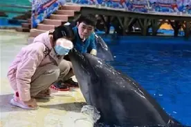 与“切不完的肿瘤”抗争 一对母女的14年图片