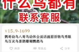 保护野生动物，不能有“隐秘的角落”| 人民锐见图片