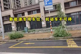 贵港交警：占用新能源汽车专用停车位将受处罚图片