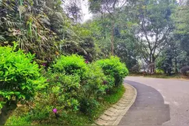 闪亮的日子图片