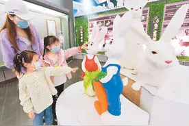 “兔王国”里欢乐多图片