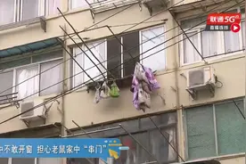吓人！一居民家中竟养了100多只老鼠，邻居崩溃了图片